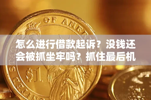 北京怎么进行借款起诉？没钱还会被抓坐牢吗？抓住最后机会！