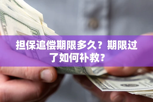 北京担保追偿期限多久？期限过了如何补救？