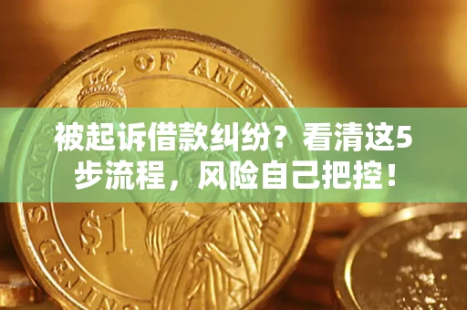 北京被起诉借款纠纷？看清这5步流程，风险自己把控！